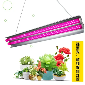 Квантовый светодиодный Светильник Для Выращивания Полного Спектра 100 Вт 3500 К, Лампа Для Выращивания Суккулентных Растений Для Комнатных Растений, Тепличные Палатки